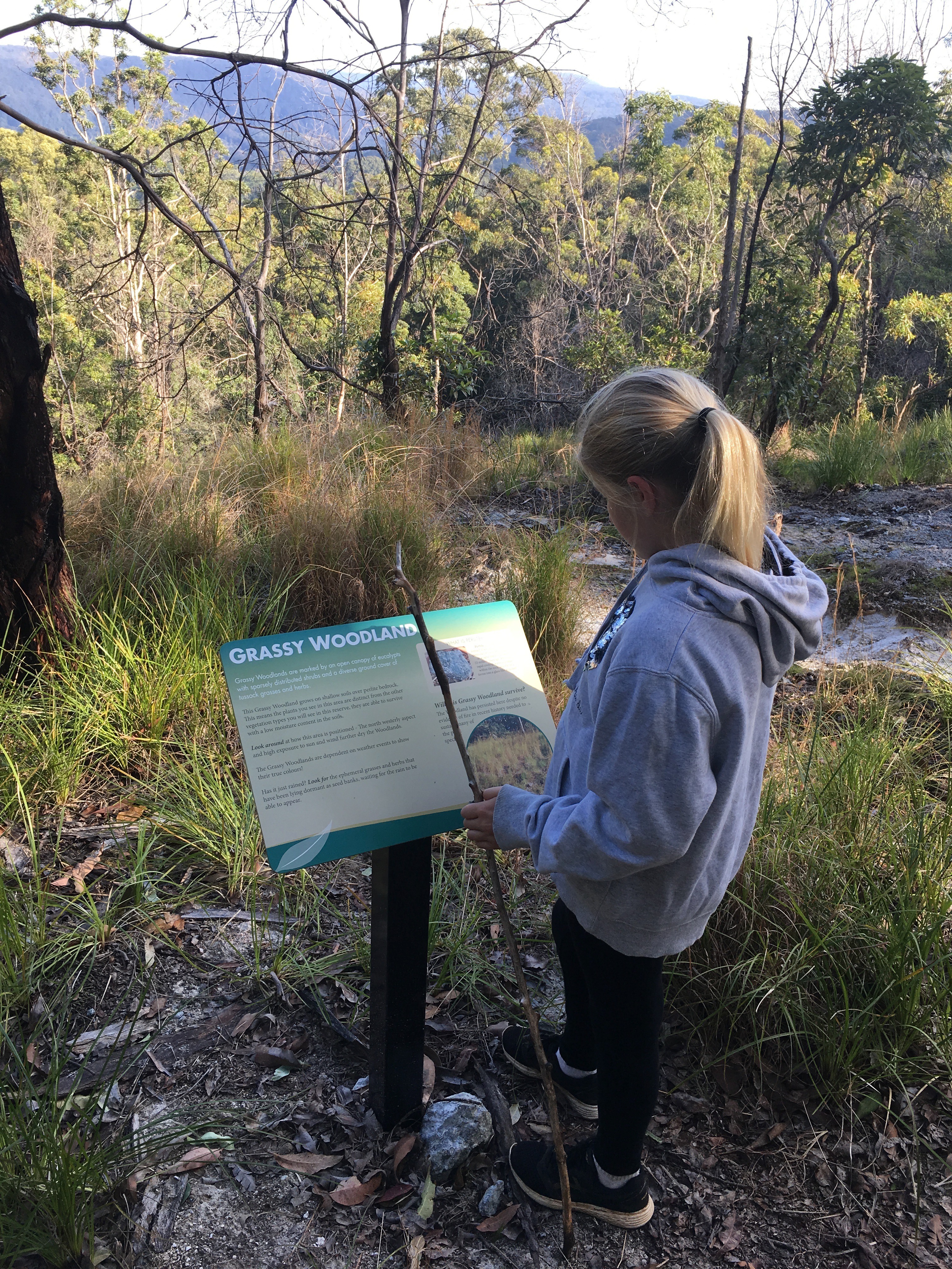 Interpretative Nature Sign At Byrangerry Reserve